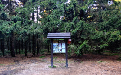 Skalnik 945 m n.p.m.
